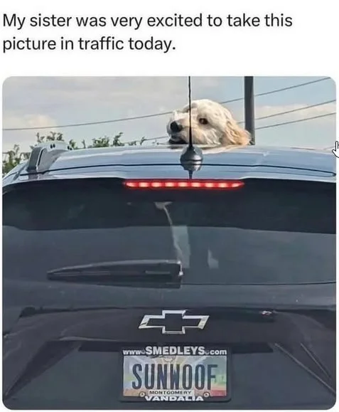 Sunwoof.webp