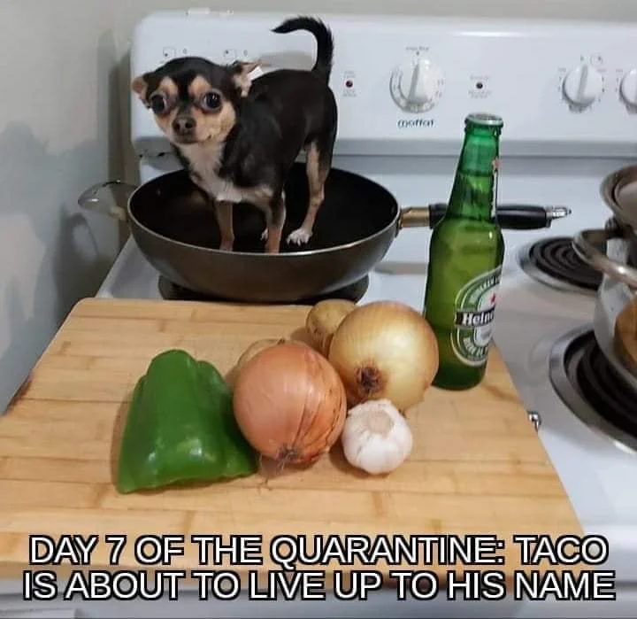 taco.webp