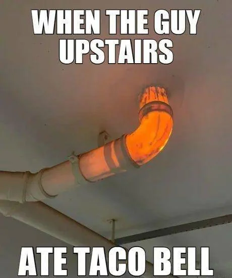 taco.webp