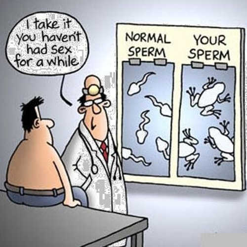 tadpoles-normal-sperm-yours-frogs-doctor.jpg
