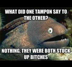 tampon.webp