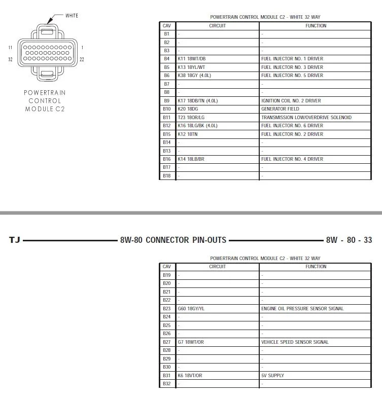 TCC 2.webp