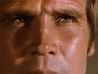 tenor.gif