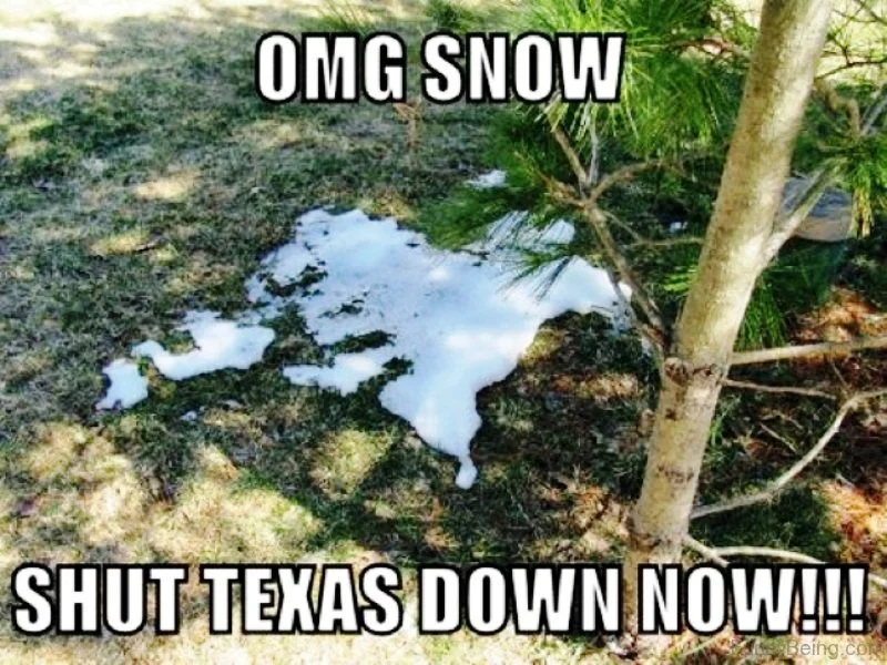 texas.webp