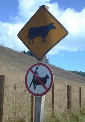 texas.webp