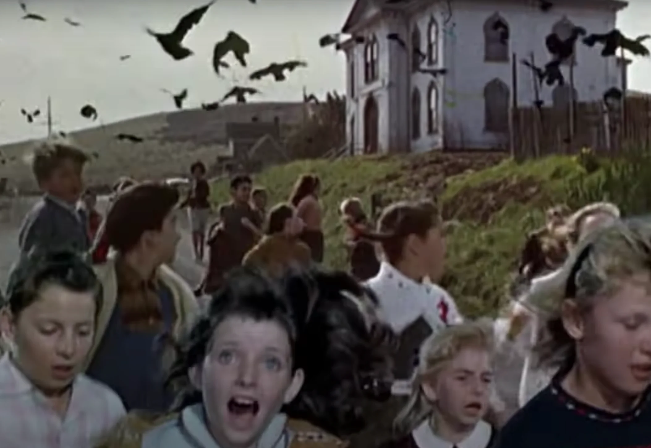The-Birds.webp