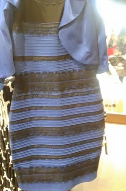The dress blueblackwhitegold.webp