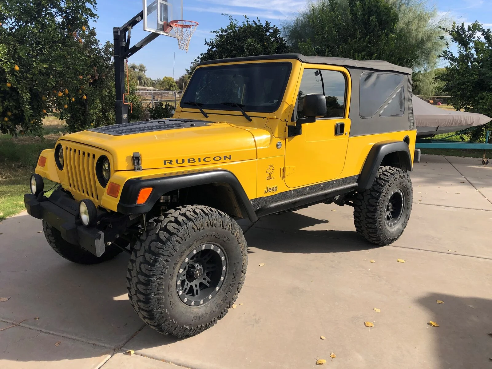 The LJ.jpg