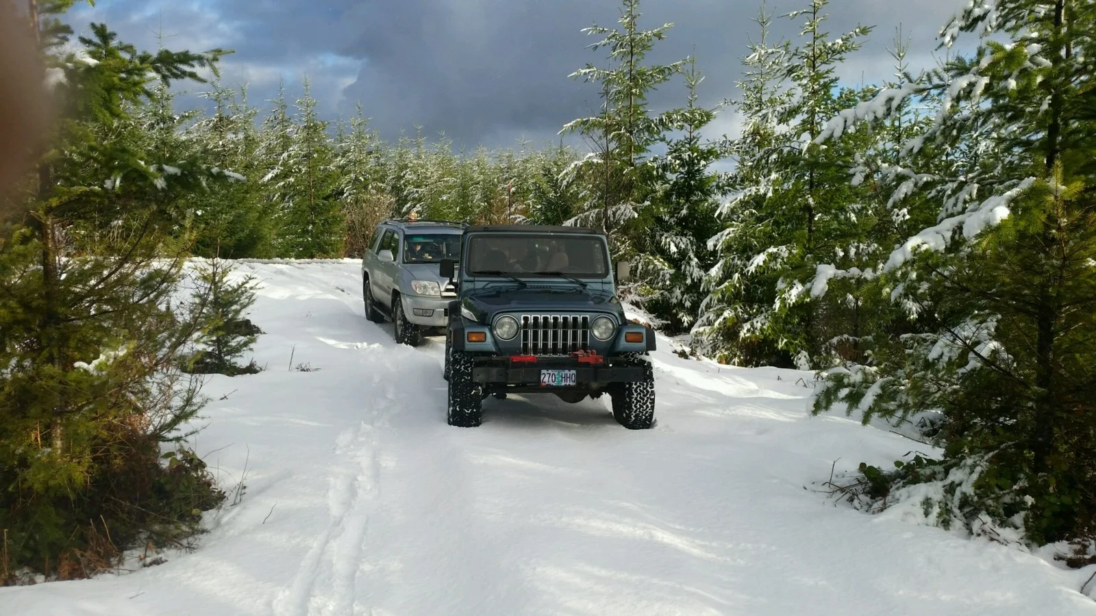 The Rigs.webp