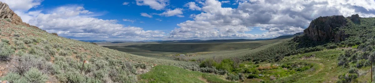 The spring at Stevens Camp looking south.jpg