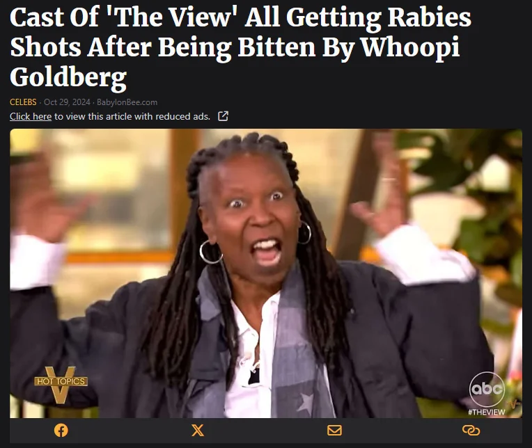 The View.webp