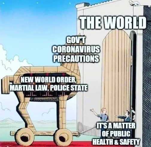 the-world-coronavirus-trojan-horse-new-world-order-martial-law-police-state.jpg