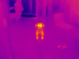 Thermal-20160211083734.webp
