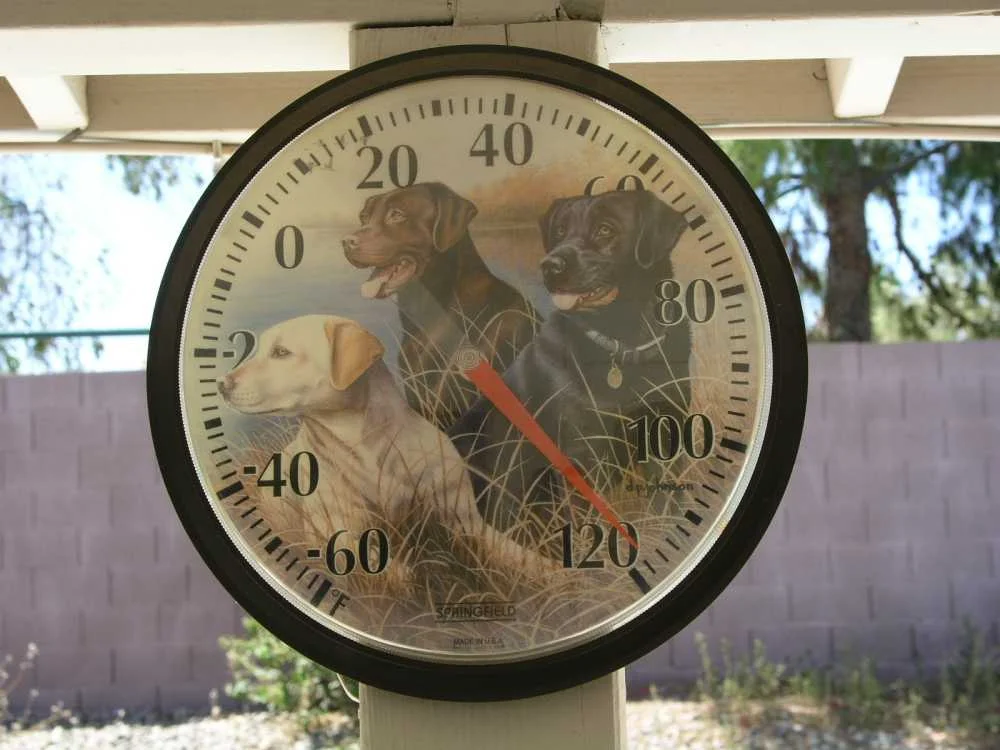 Thermometer 118 compressed.webp