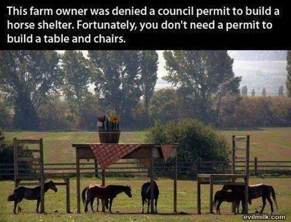 this-farm-owner-webp.webp