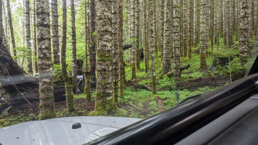 Tight switchbacks.webp