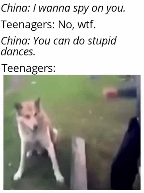 TikTok.gif