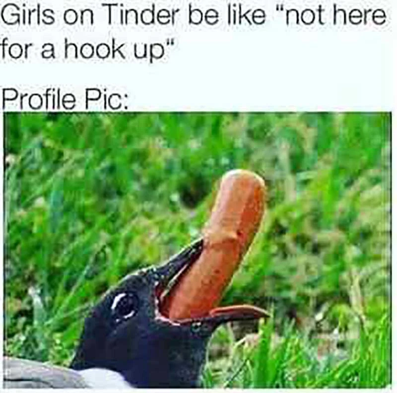 tinder.webp