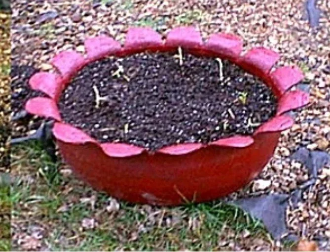 tire planter.webp