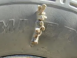Tire Sidewall Plugs.jpg