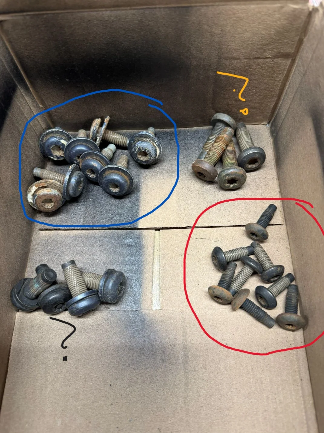 tj-rollbar-bolts.webp