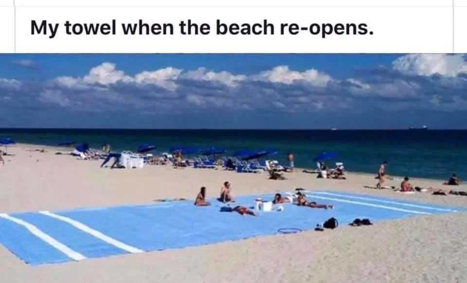 towel.webp