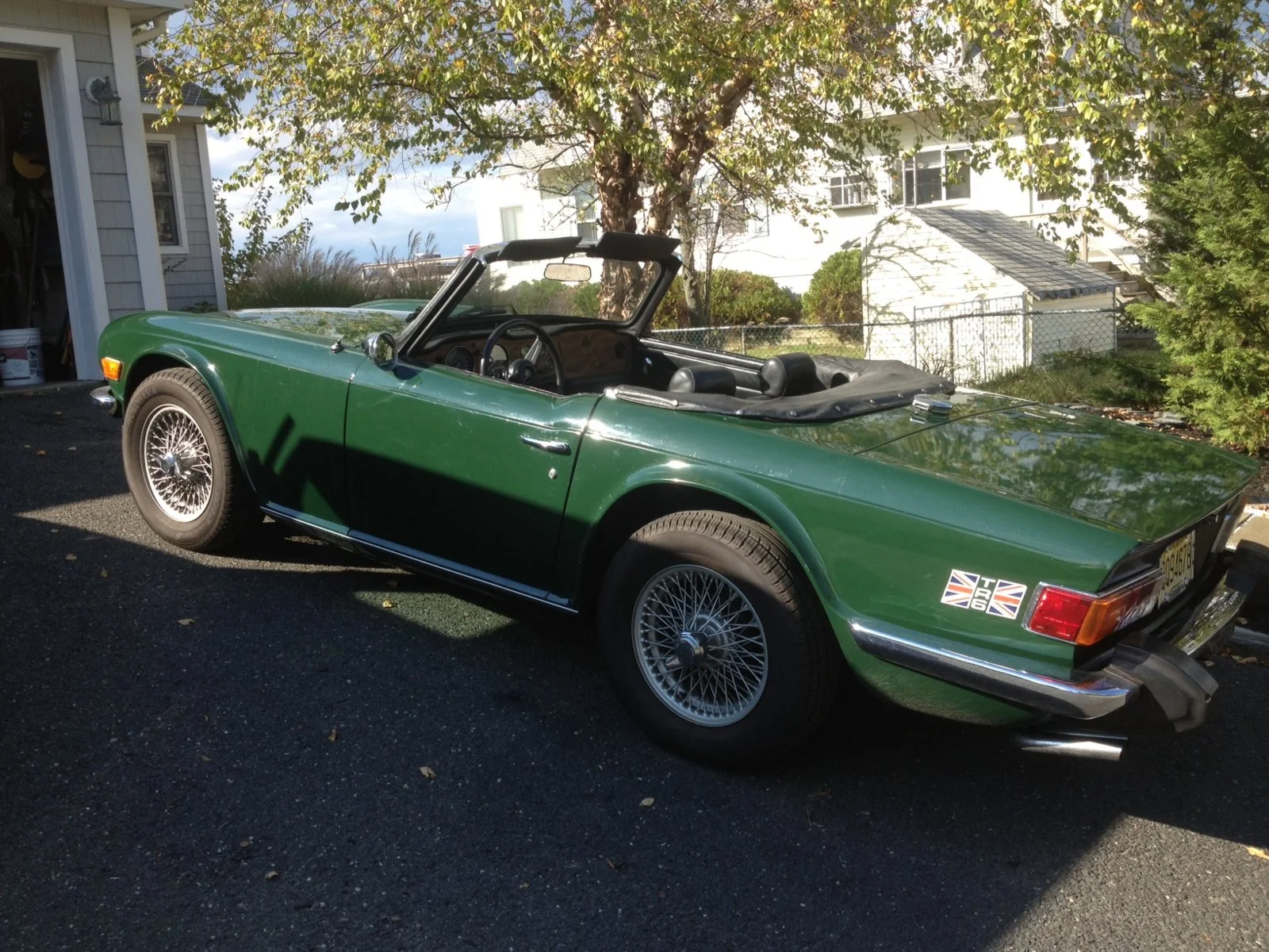 tr63.webp