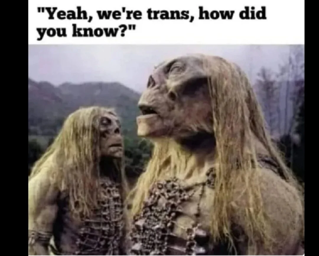 Trans.webp