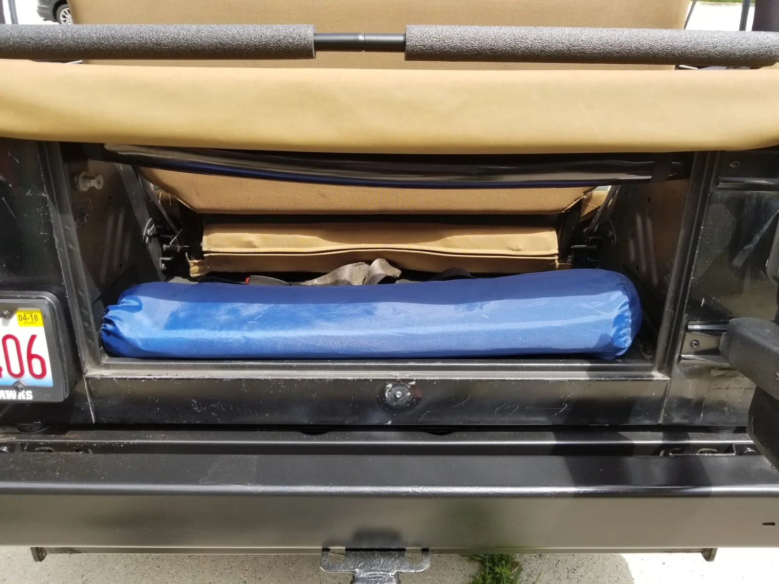 trunk.webp