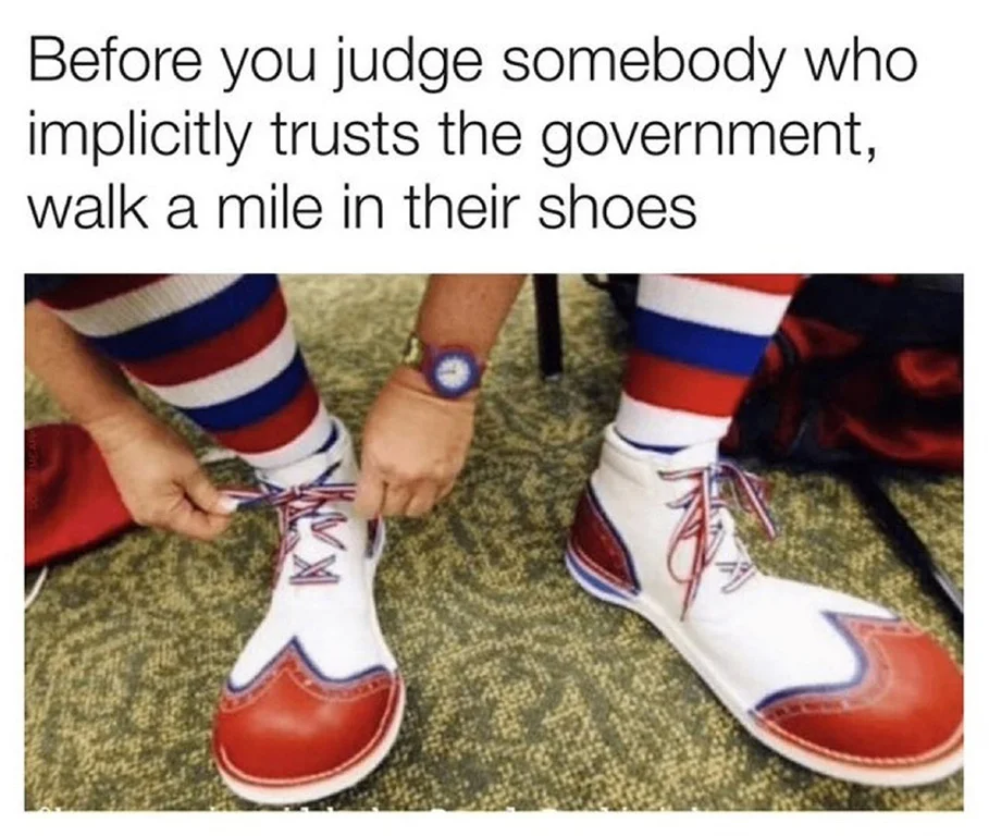 trust the govt.webp