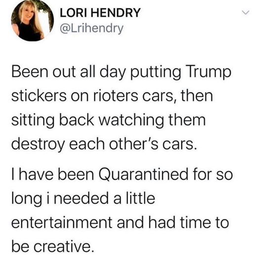 tweet-lori-hendry-been-out-putting-trump-stickers-on-rioters-cars-watching-them-destroy-each-o...jpg