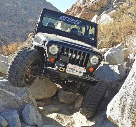 Twisted-Cropped.webp