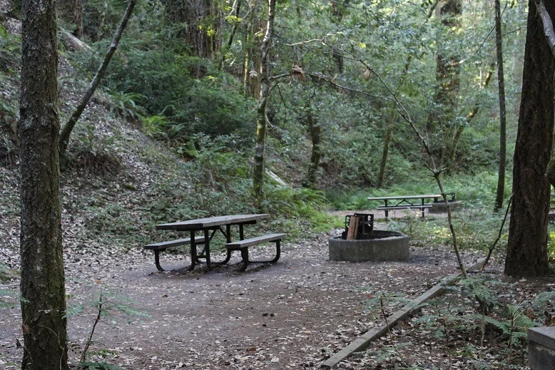 TypicalCampSite.webp