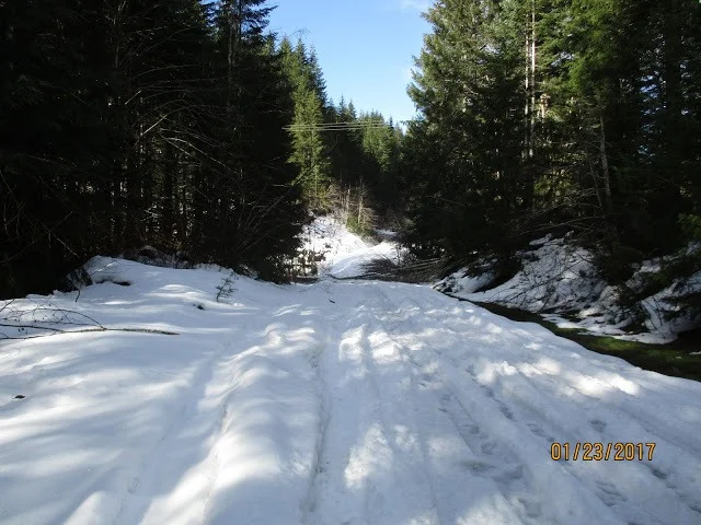 University Falls Road.webp