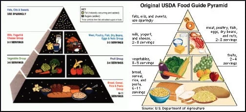 USDA-food-guide-pyramid.webp