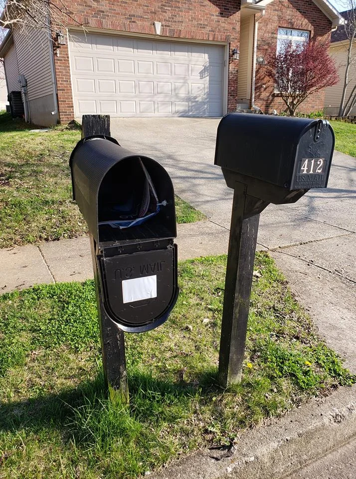 usps.webp