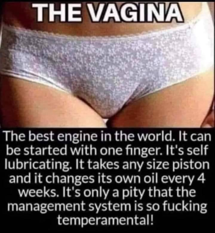 vagina best engine.png