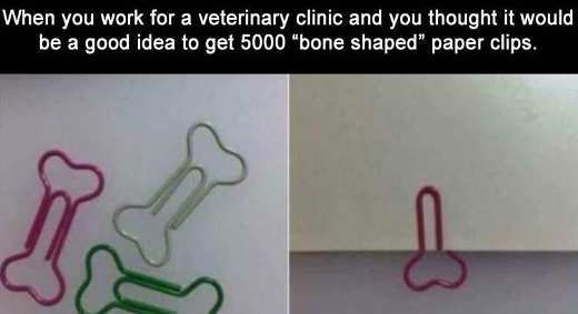 veternary-clinic-buys-5000-bone-paper-clips-shaped-like-penis.jpg