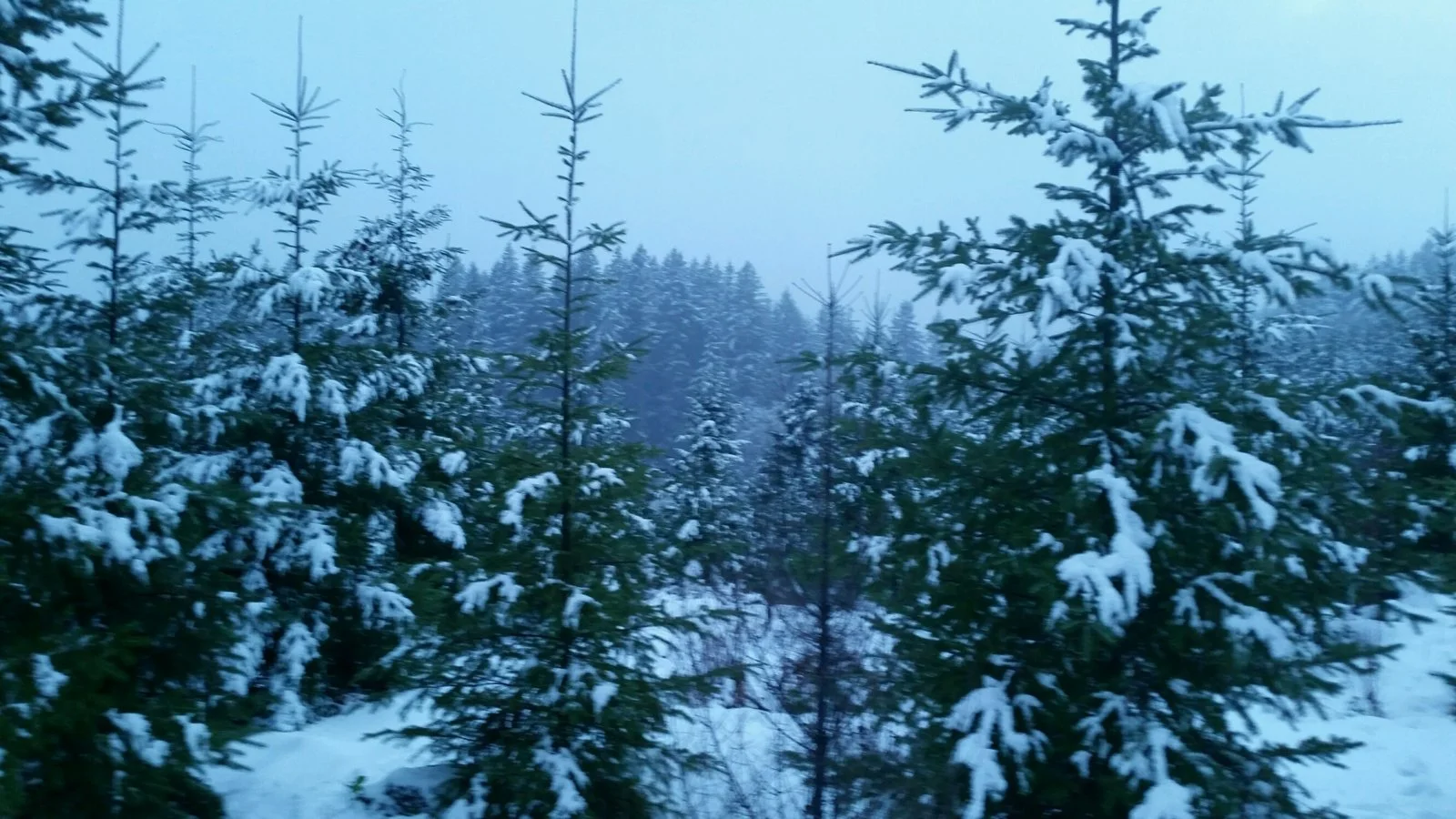 View.webp