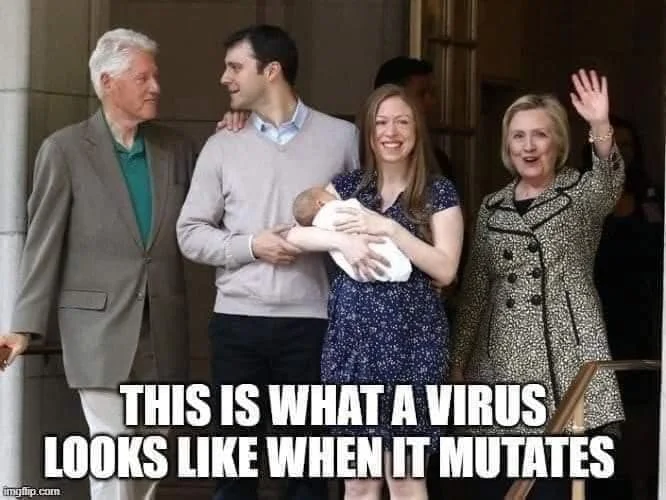 virus.webp