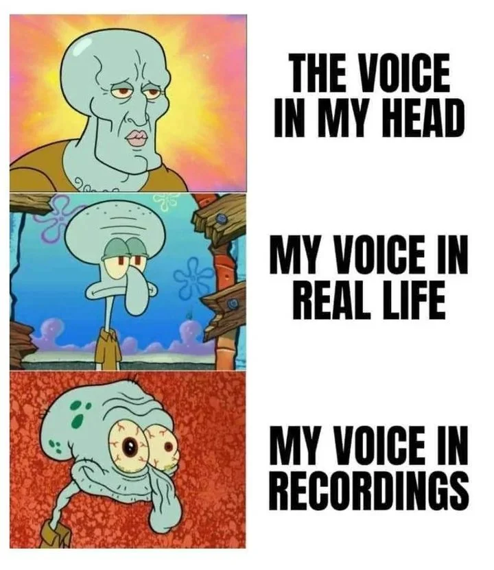 Voice.webp
