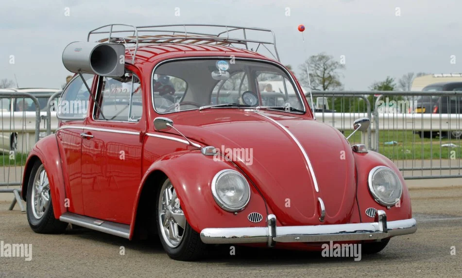 vw swamp.webp