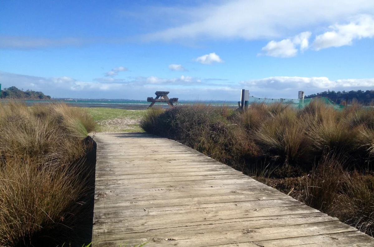 waihekeisland1.webp