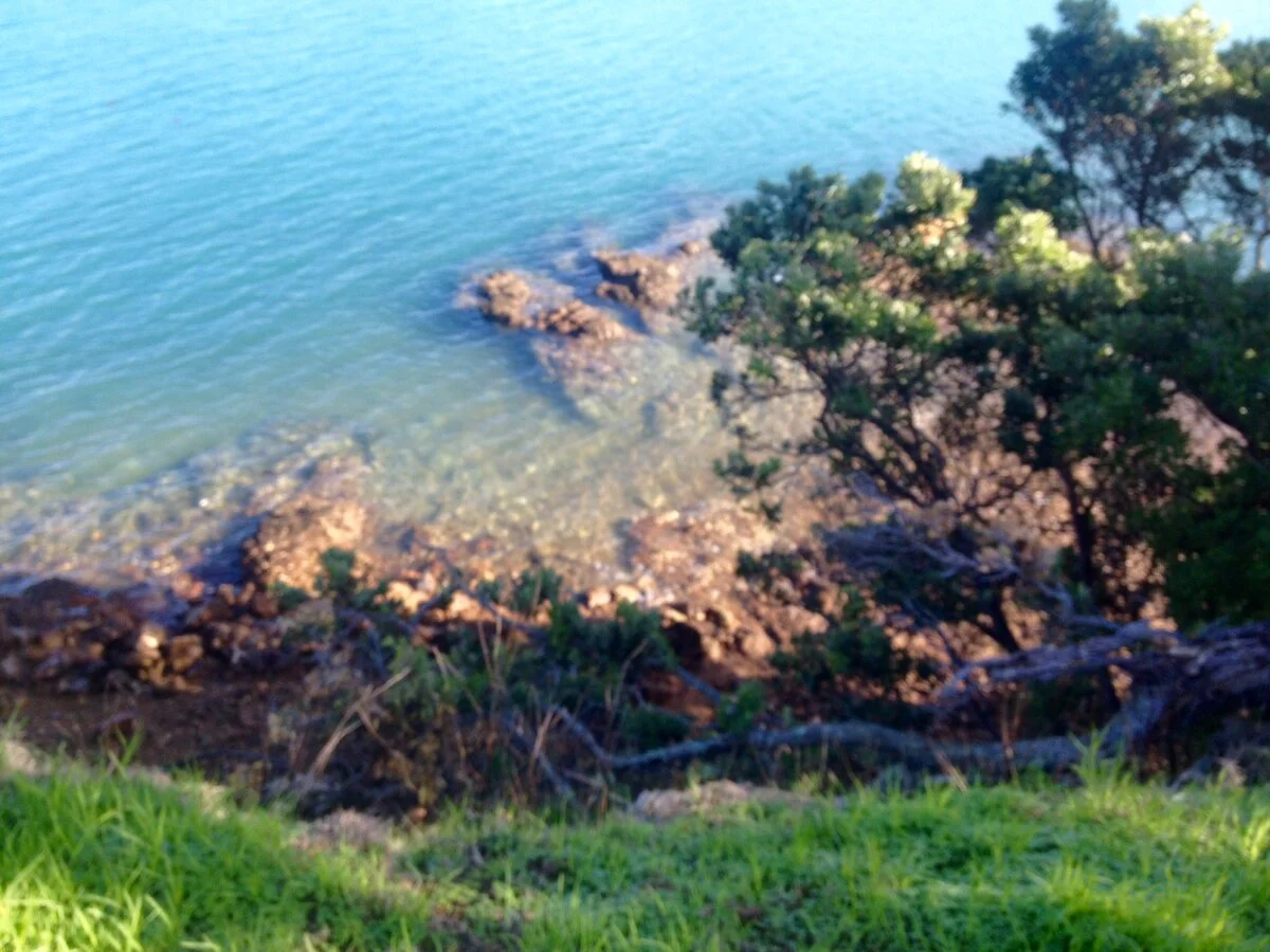 waihekeisland4.webp