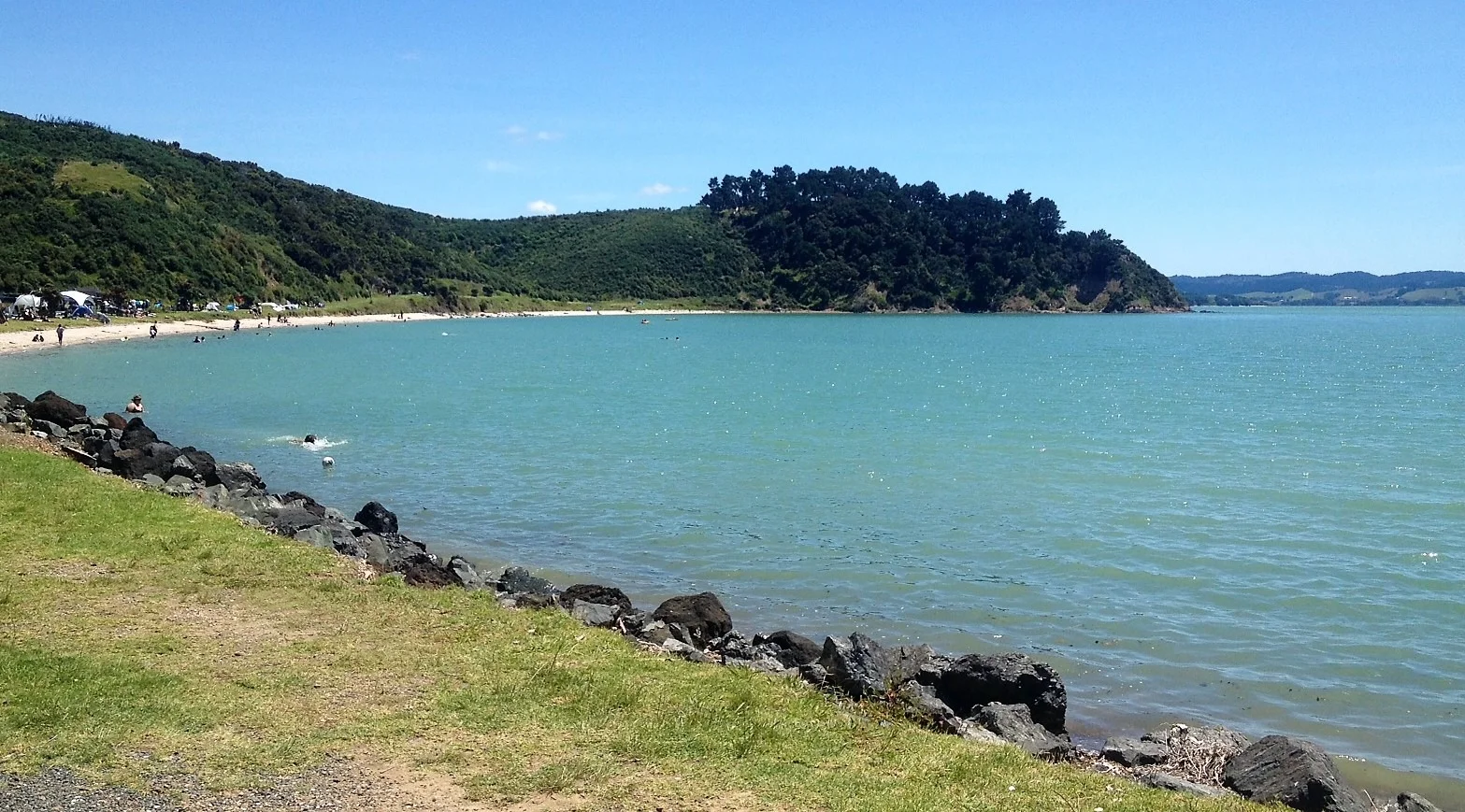 waitawa bay 1.webp