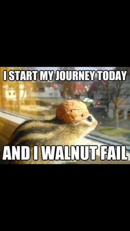 walnuts.webp