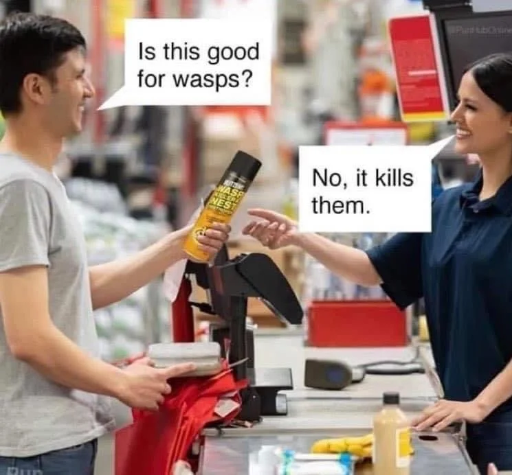 wasps.webp