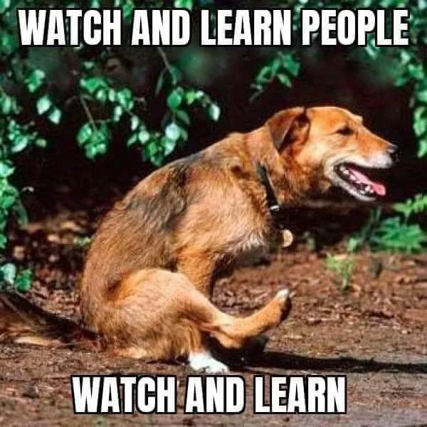 watch.webp