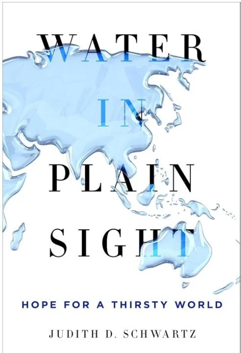 water in plain sight.webp