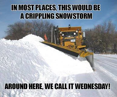 wednesday.webp